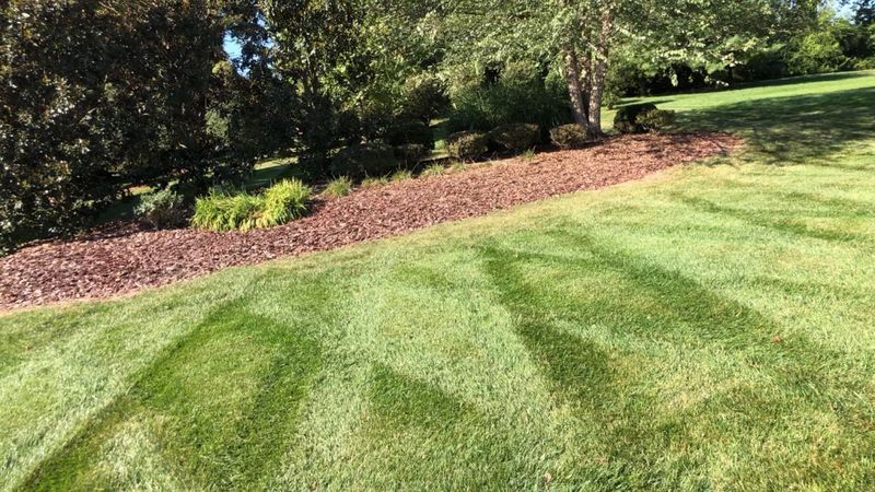 Lawn Care