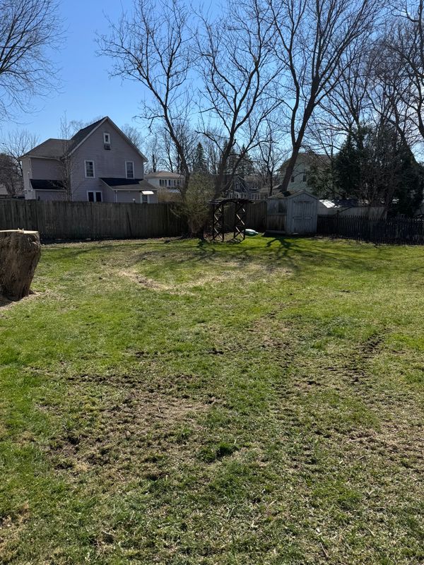 Stump Removal / Stump grinding