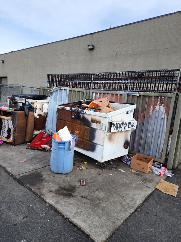 Dumpster Overflow Cleanup