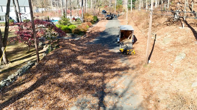 Spring & Fall Clean ups gallery