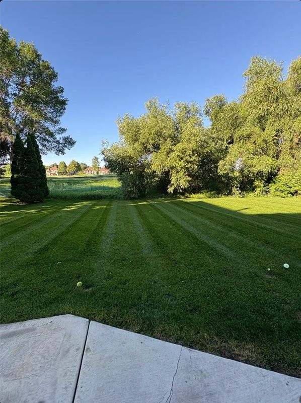 Lawn Mowing