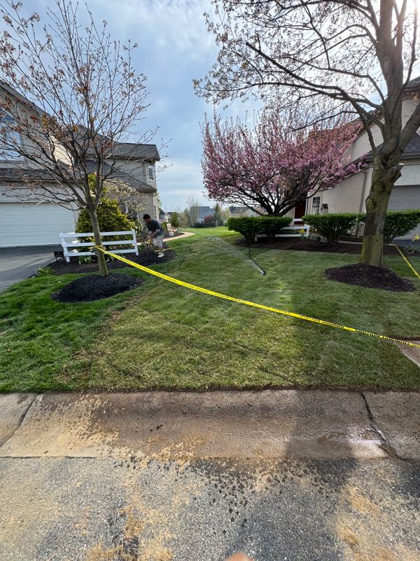 Landscape Designs