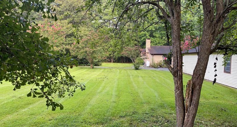 Lawn Mowing
