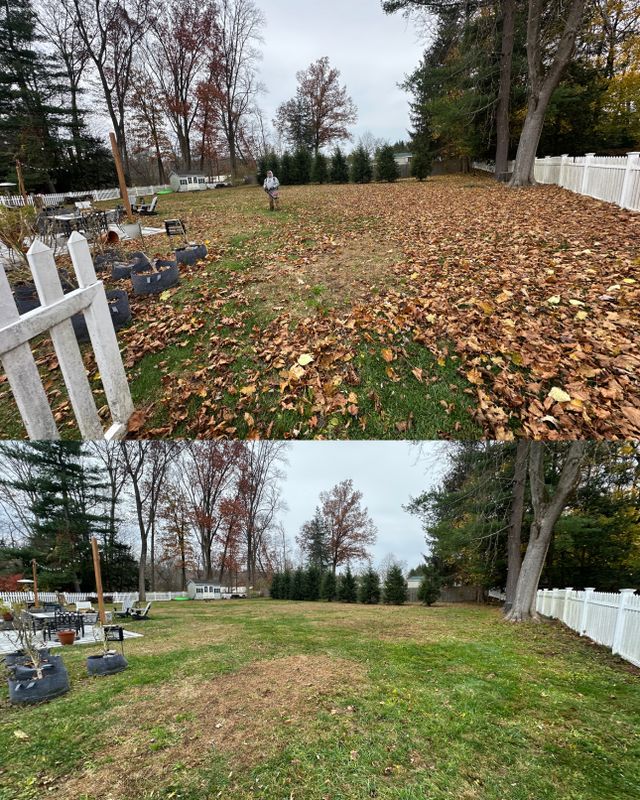Fall cleanup