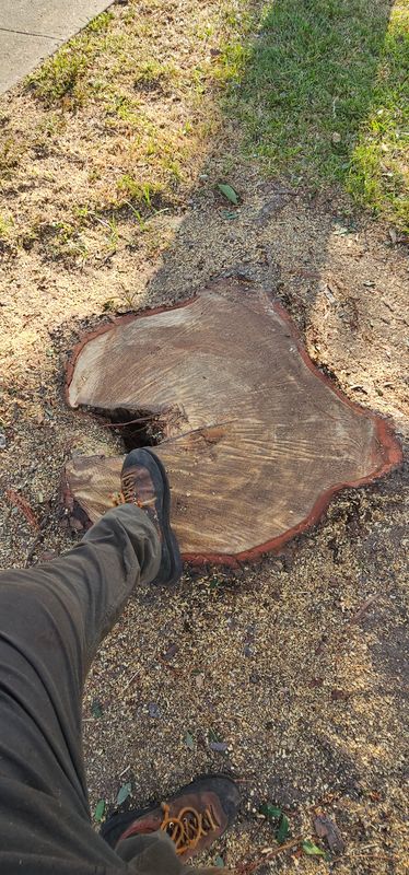 Stump Removal