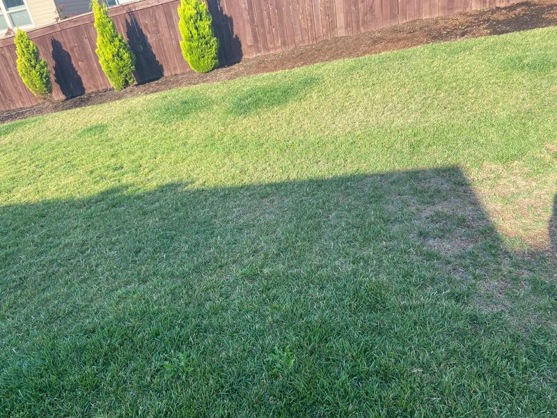 Lawn Care
