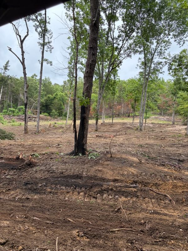 Land Clearing