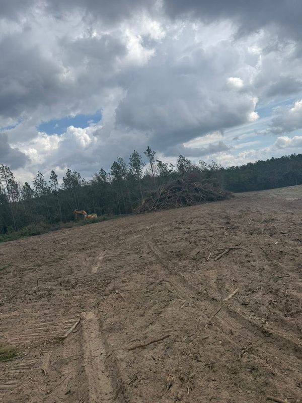 Land Clearing gallery