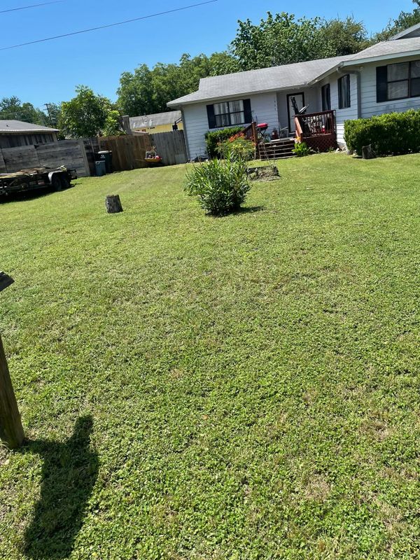 Lawn Maintenance