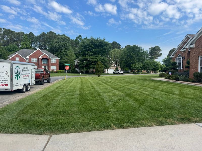 Lawn Mowing