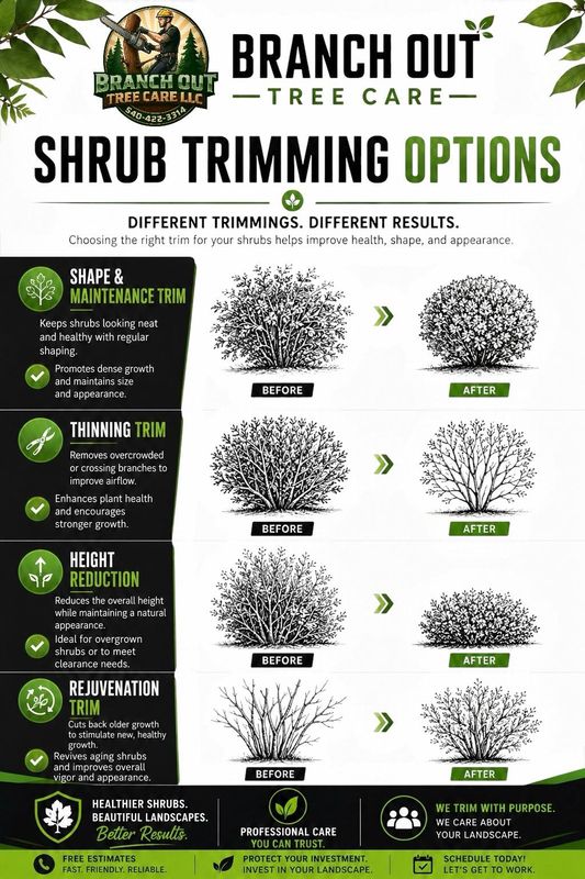 Shrub Trimming