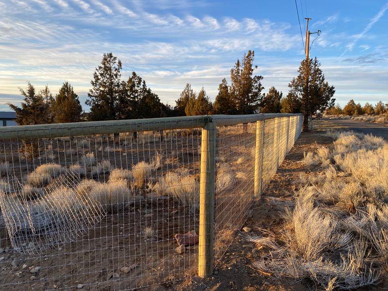 No Climb Wire