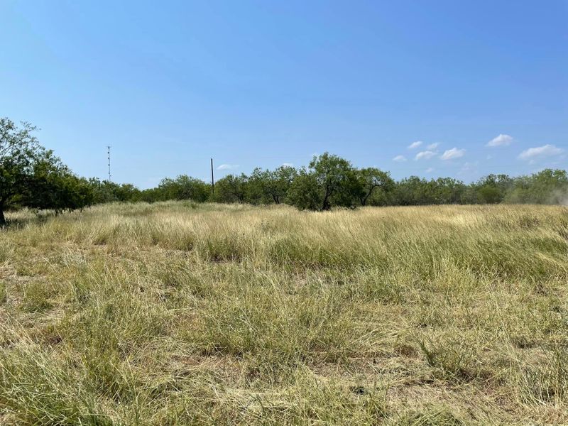 Land Clearing