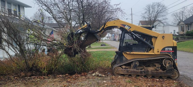 Downed Tree/Brush Removal