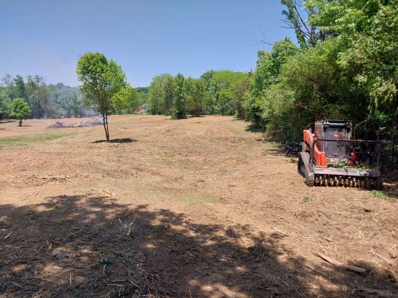 Land Clearing