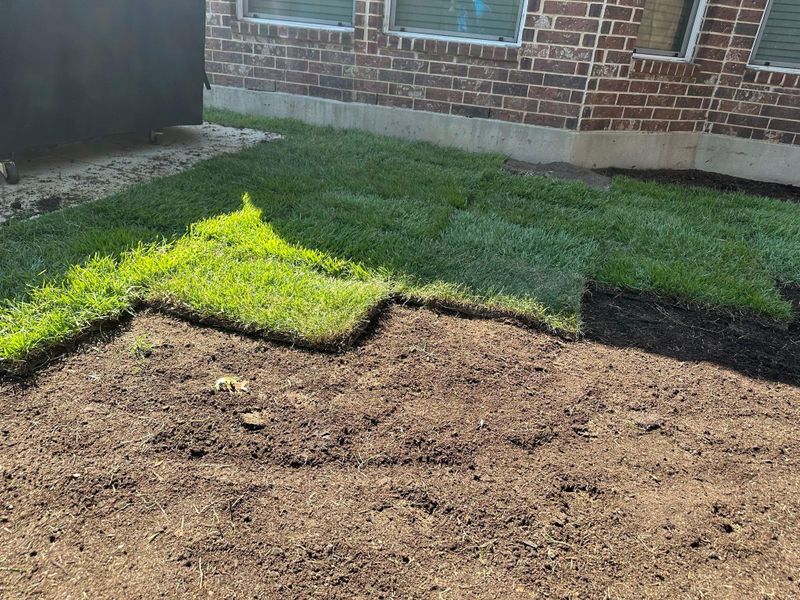 Landscape Design & Installation