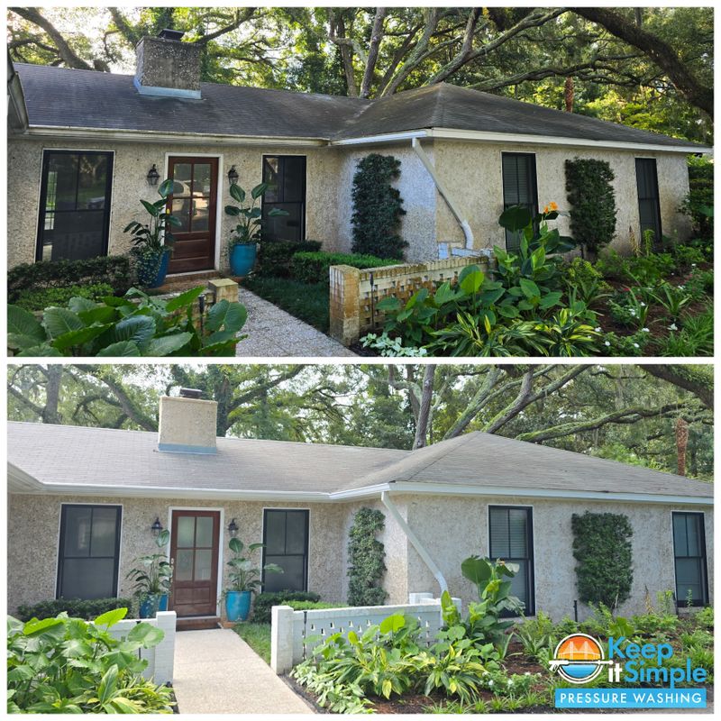Roof Cleaning
