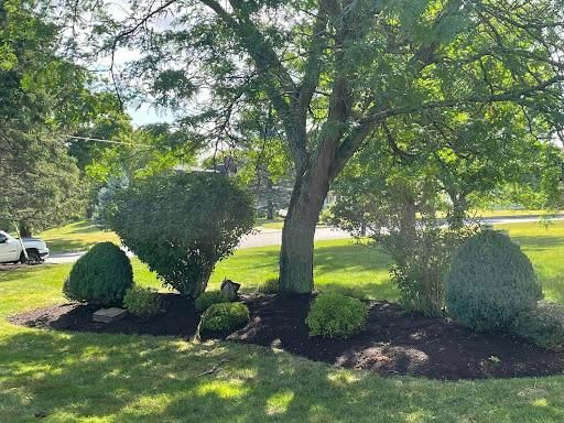Landscape Design