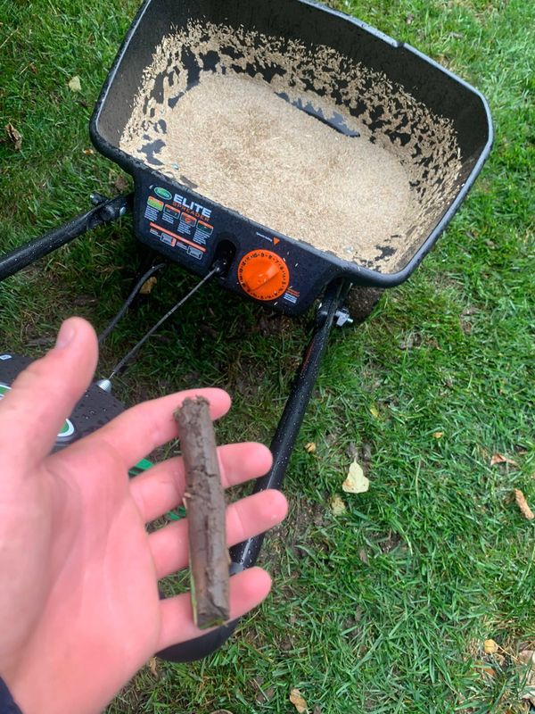 Core Aearation Overseeding