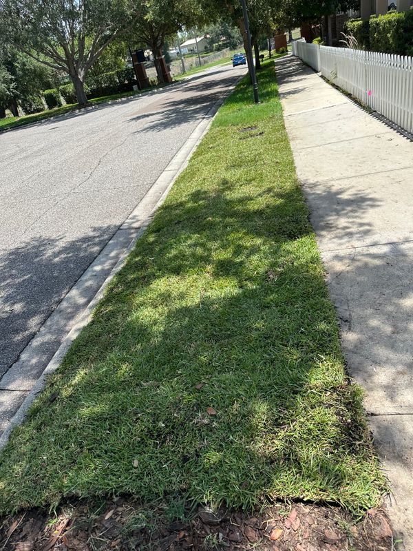 Sod Types
