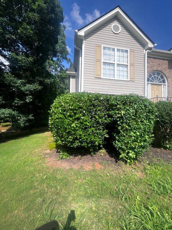 Tree & Shrub Care