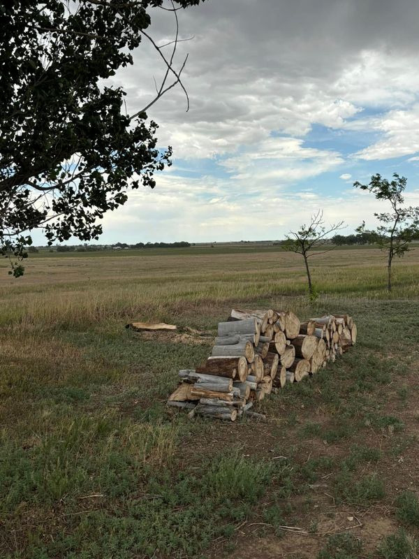 Tree Removal gallery