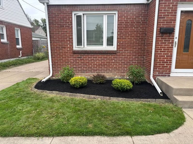 Lawn Maintenance