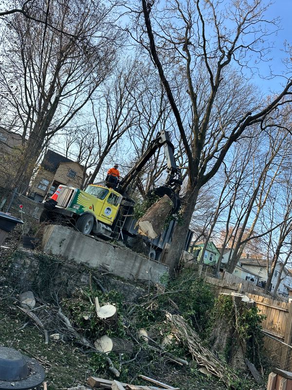Land Clearing