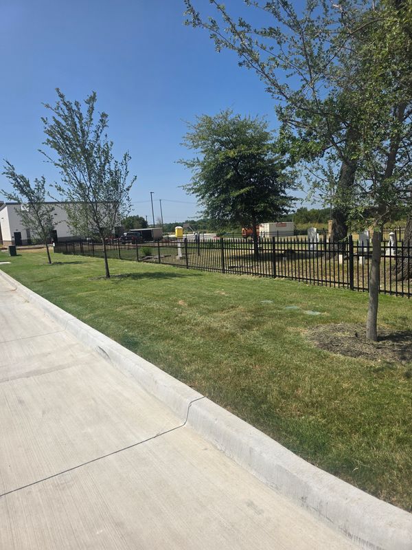 Lawn Maintenance