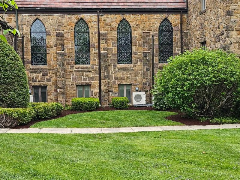 Tree & Shrub Care