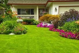 Lawn Care