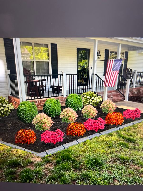Landscape and landscape design