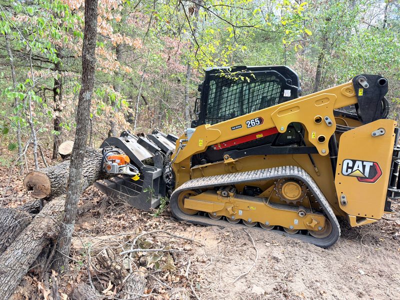 Stump Removal