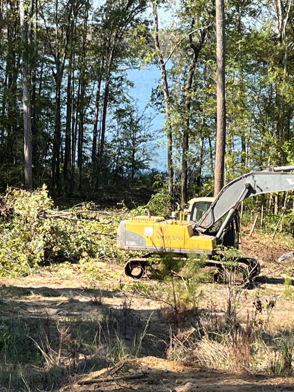 Land Clearing