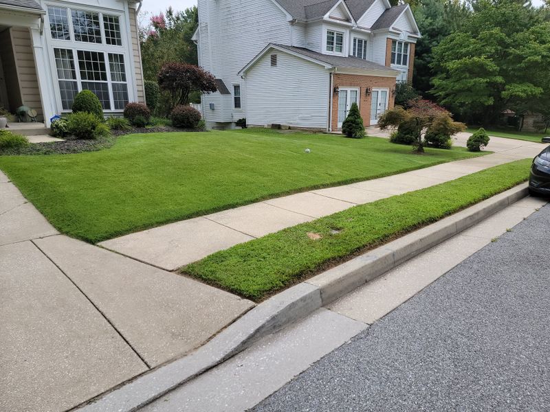 Lawn Mowing
