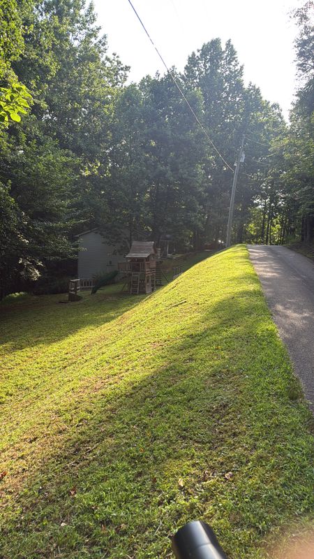 Lawn Maintenance