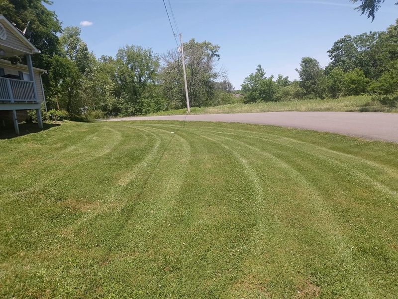 Lawn Care