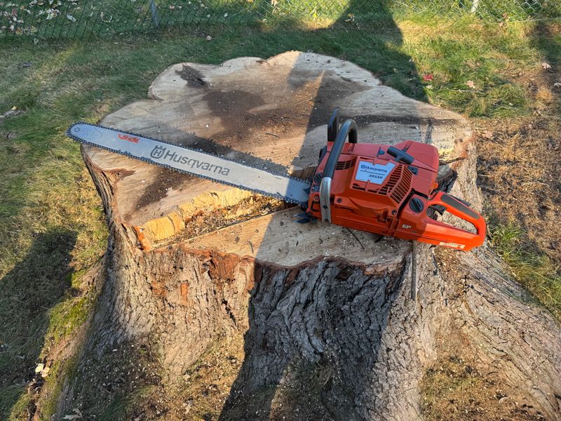 Tree Removal