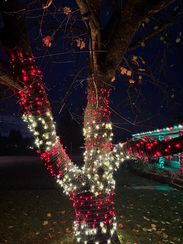 Christmas Lights gallery