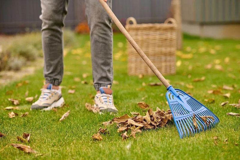Seasonal Cleanups