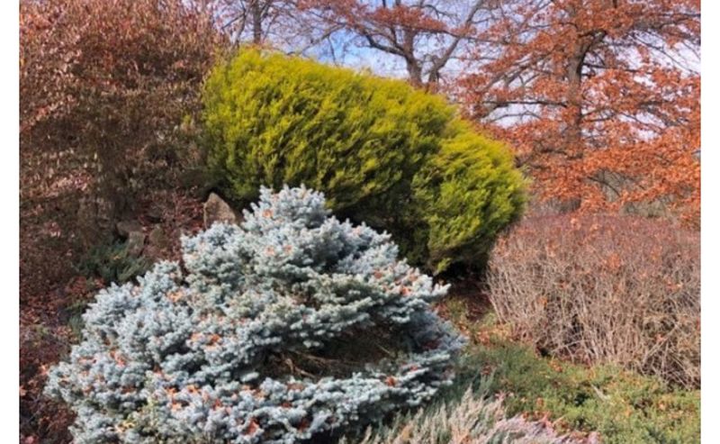 Landscape Design & Installation