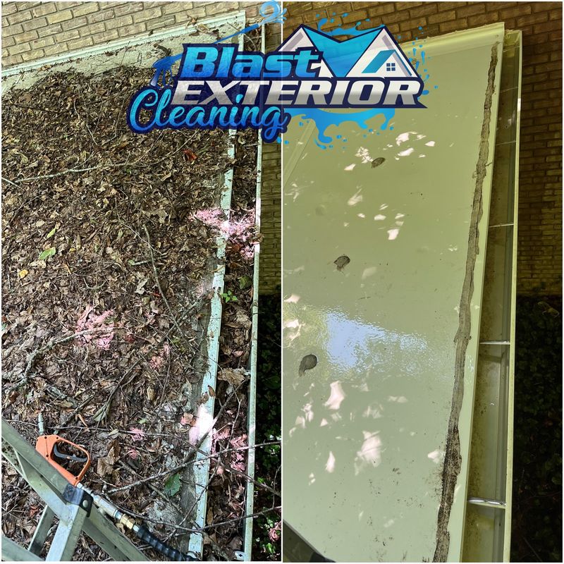 Gutter Cleaning