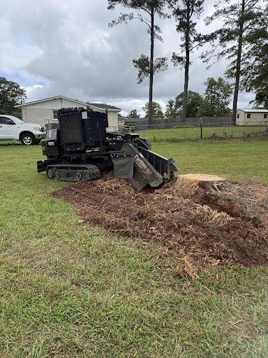 Stump Excavation