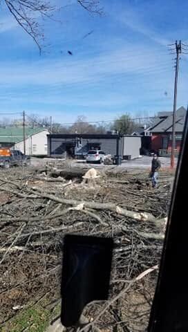 Stump Removal