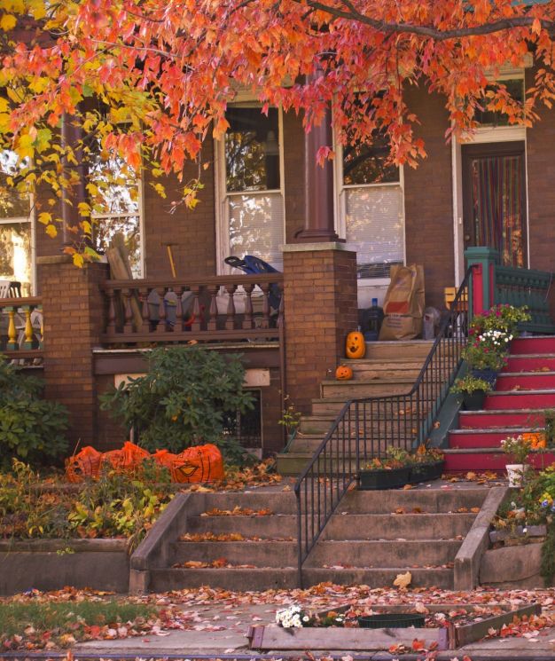 Seasonal Yard Cleanup