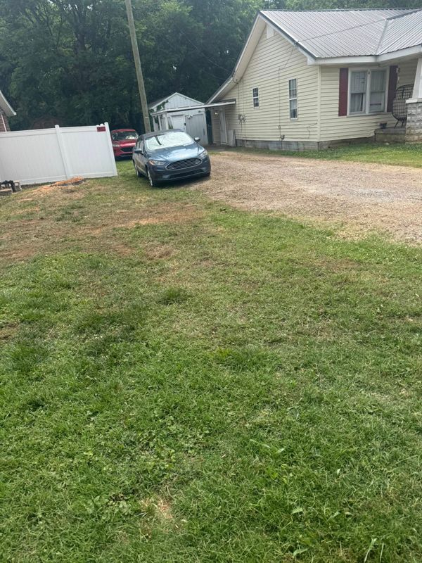 Stump Removal