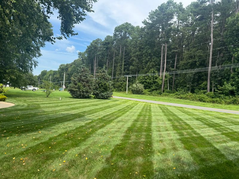 Lawn Mowing & Maintenance