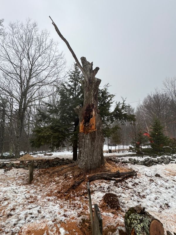 Stump Removal