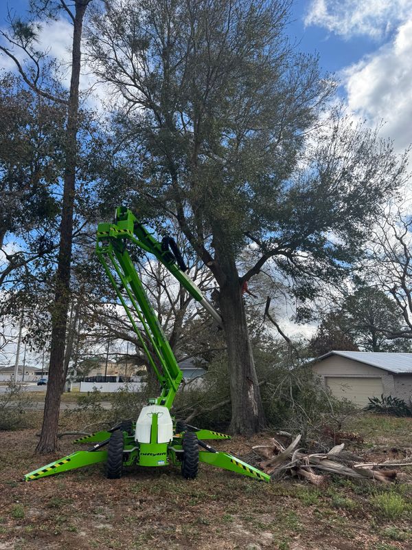 Land Clearing