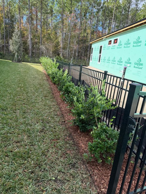 Shrub Trimming
